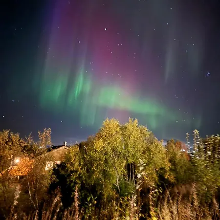 The In The Middle Of Lofoten 아파트 *